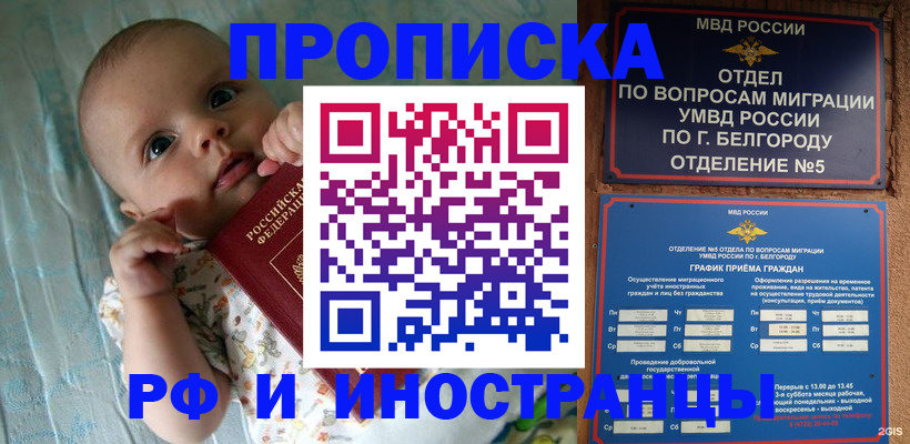 миграционный учет в Владимире